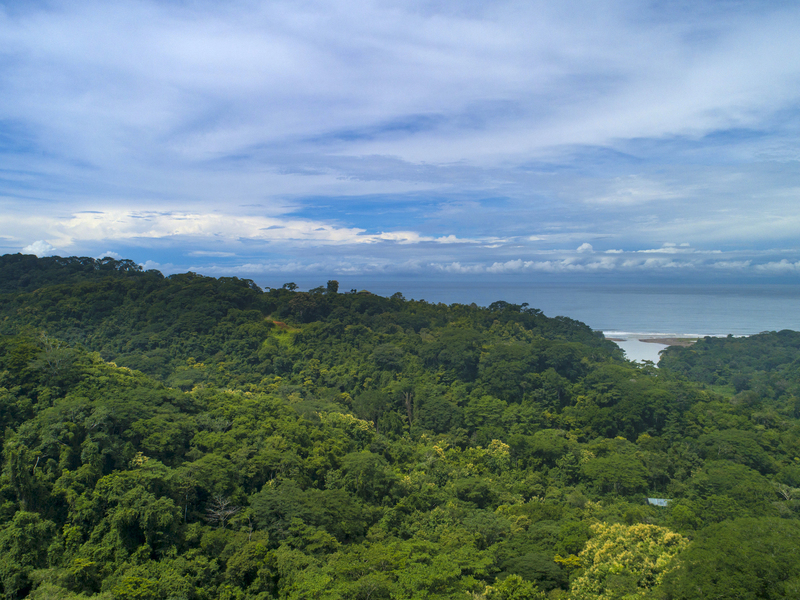 0 bed Land For Sale in Dominical, Puntarenas - 1
